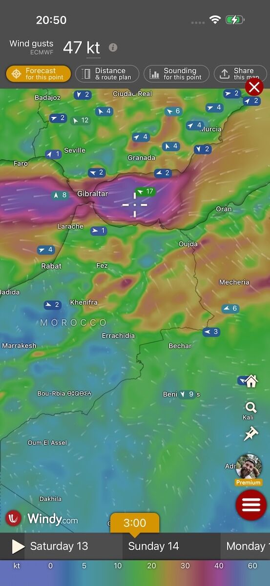 Atlantik 2025 - Photo 11