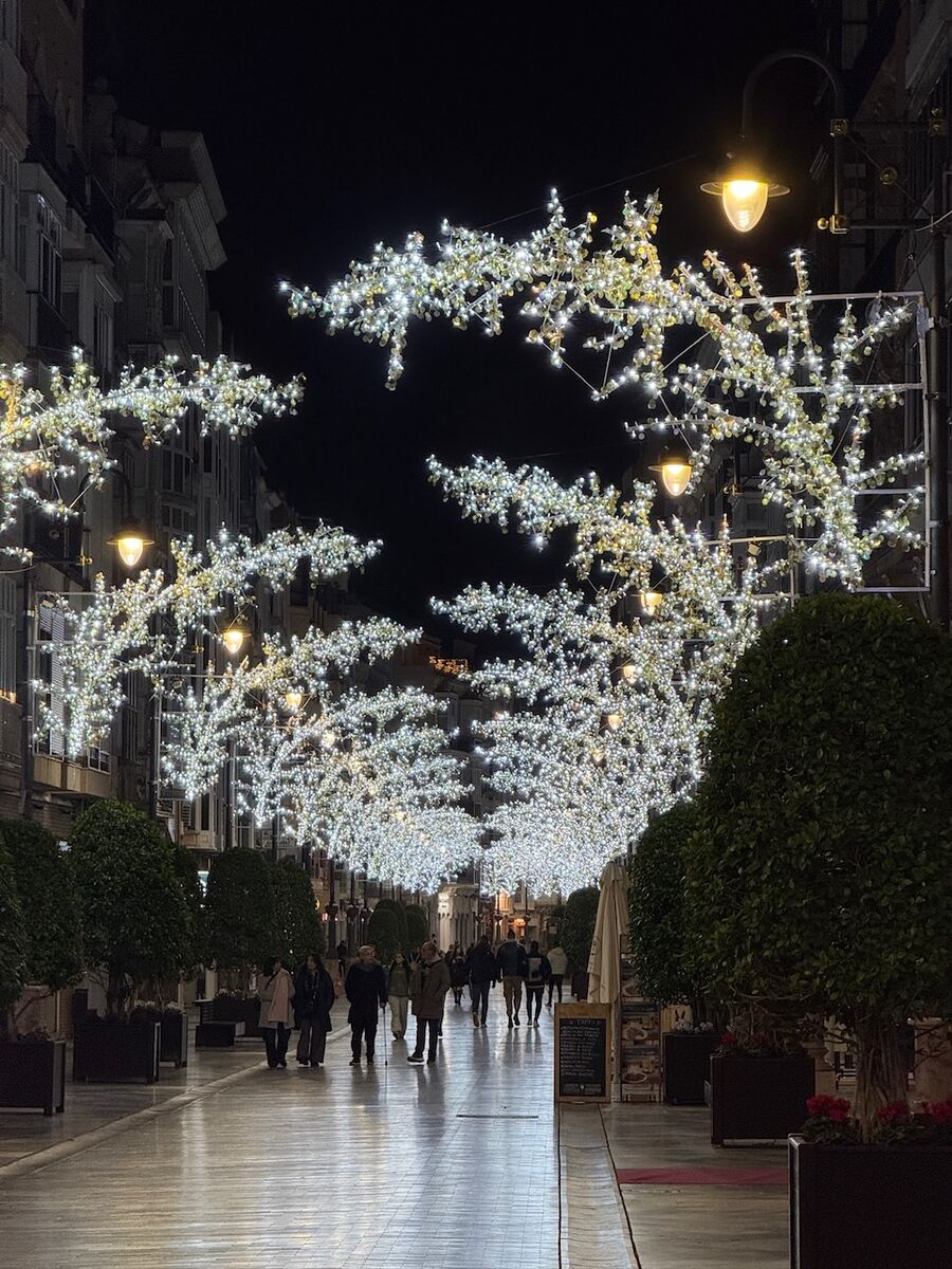 Atlantik 2025 - Photo 15