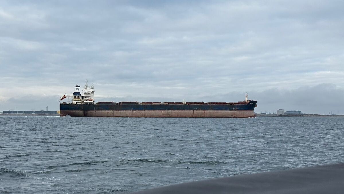 Zimní Balt 2025 - Photo 8